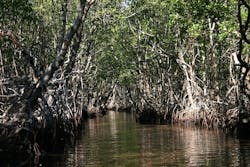 1655260703056 4 1655260703056 4