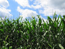 1655260704777 4 1655260704777 4