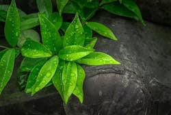 1655260704869 4 1655260704869 4