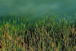 1655260708606 5 1655260708606 5