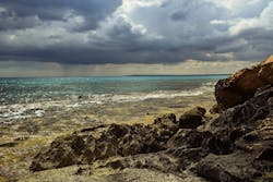 1655260714575 5 1655260714575 5