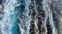 1655260719424-5