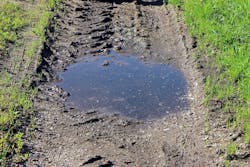 1655260721762 7 1655260721762 7