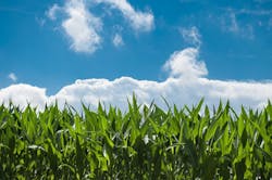 1655260721973 7 1655260721973 7