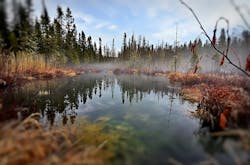 1655260725525 8 1655260725525 8