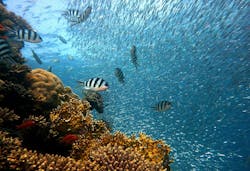 1655260725812 9 1655260725812 9