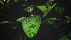 1655260728094 5 1655260728094 5