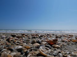 1655260729127 8 1655260729127 8