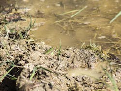 1655260729409 9 1655260729409 9