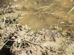 1655260729409 9 1655260729409 9