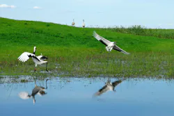 1655260734418 9 1655260734418 9