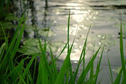 1655260735774 10 1655260735774 10