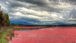 1655260739660 11 1655260739660 11