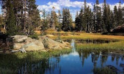 1655260740876 11 1655260740876 11