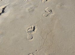 1655260743883 11 1655260743883 11