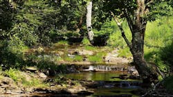 1655260744137 11 1655260744137 11