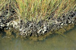 1655260746698 1 1655260746698 1