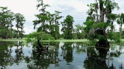 1655260748570 1 1655260748570 1