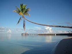 1655260752941 1 1655260752941 1