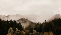 1655260763029 Oregon 1655260763029 Oregon