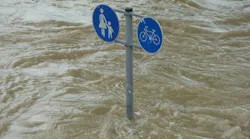 1655260765869-flood_2