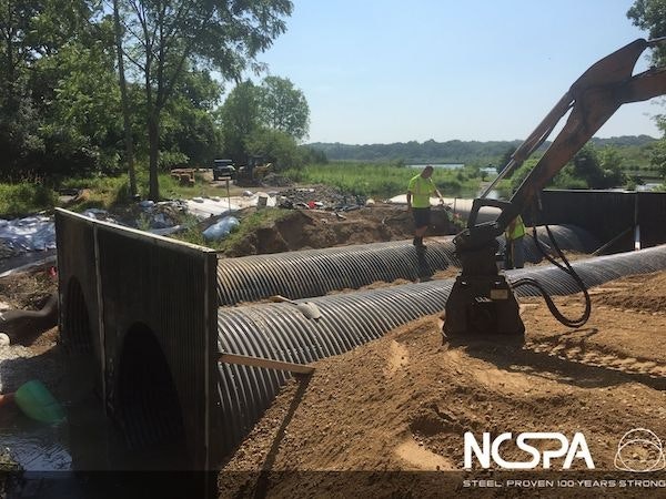 1655260767067 Lyons2