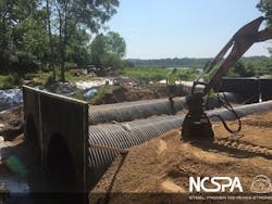 1655260767067 Lyons2 1655260767067 Lyons2