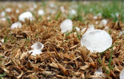 1655260770873 Hailstorm 1655260770873 Hailstorm