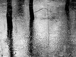 1655260772031 Water 5 1655260772031 Water 5