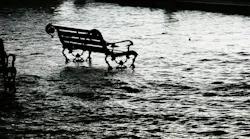 1655260775670-flood_8