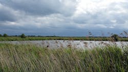 1655260776703 Pond819689 1920 1655260776703 Pond819689 1920