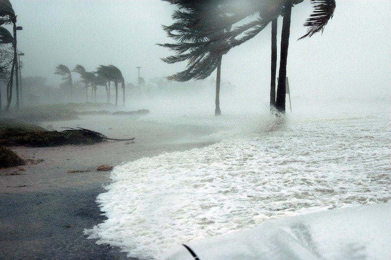 1655260776810 Hurricane 0