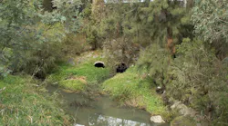 1655260777841-river2815238_1920