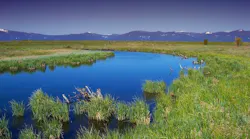 1655260780405-oregon139402_1920