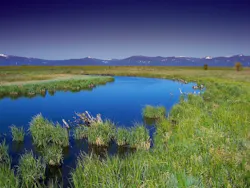 1655260780405 Oregon139402 1920