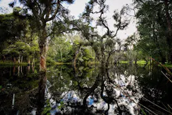 1655260785136 Wetland4558221 1280 1655260785136 Wetland4558221 1280