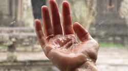 1655260786872-hand1819357_1920