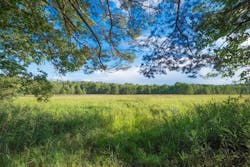 1655260787358 Forest1625131 1280 1655260787358 Forest1625131 1280