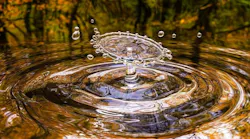 1655260787954-drop3698073_1920