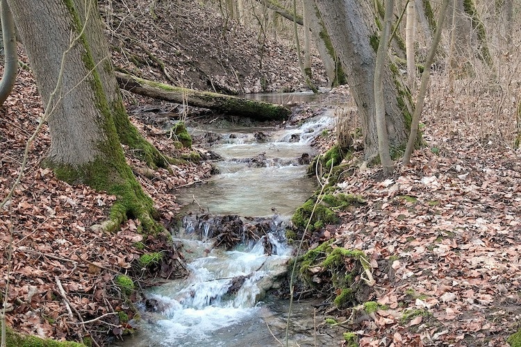 1655260791797 Creek4768338 1920