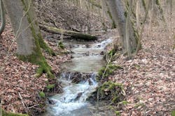 1655260791797 Creek4768338 1920 1655260791797 Creek4768338 1920