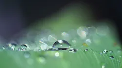 1655260795286 Dropofwater3671613 1280 1655260795286 Dropofwater3671613 1280