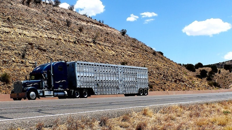 1655260795933 Transport4914869 960 720