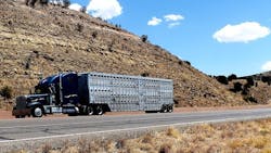 1655260795933 Transport4914869 960 720 1655260795933 Transport4914869 960 720