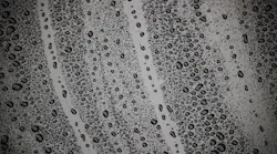 1655260798214-drip2806027_1280