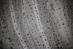 1655260798214 Drip2806027 1280 1655260798214 Drip2806027 1280