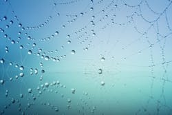 1655260802395 Cobweb3725540 1920 1655260802395 Cobweb3725540 1920