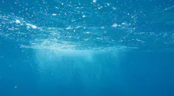1655260802872-nature2609434_1920