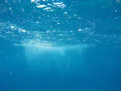 1655260802872 Nature2609434 1920