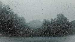 1655260803593-raindrops828954_1920